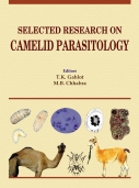 Home Page Camel And Camelids